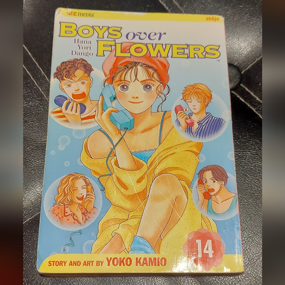 Boys Over Flowers vol. 14